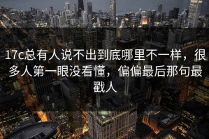 17c总有人说不出到底哪里不一样，很多人第一眼没看懂，偏偏最后那句最戳人