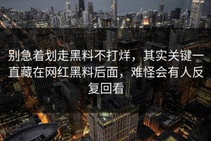 别急着划走黑料不打烊，其实关键一直藏在网红黑料后面，难怪会有人反复回看