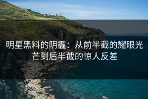明星黑料的阴霾：从前半截的耀眼光芒到后半截的惊人反差