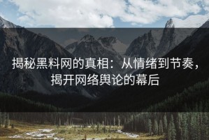 揭秘黑料网的真相：从情绪到节奏，揭开网络舆论的幕后