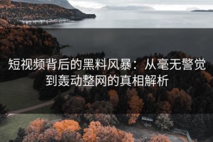 短视频背后的黑料风暴：从毫无警觉到轰动整网的真相解析