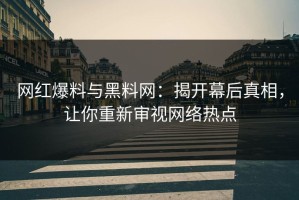 网红爆料与黑料网：揭开幕后真相，让你重新审视网络热点