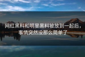 网红黑料和明星黑料被放到一起后，事情突然没那么简单了