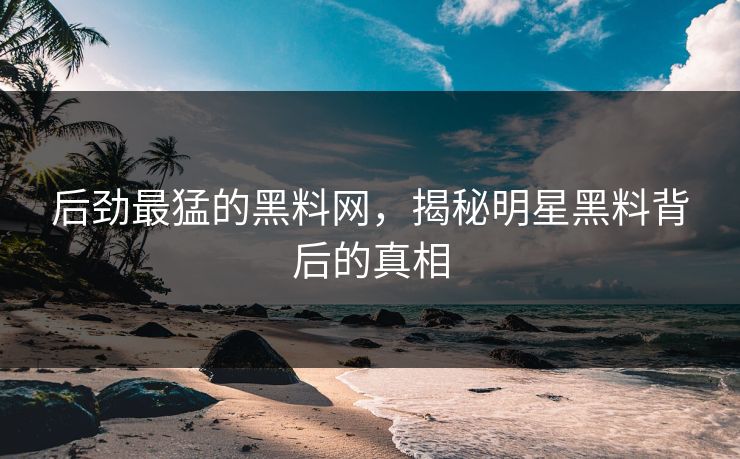 后劲最猛的黑料网，揭秘明星黑料背后的真相