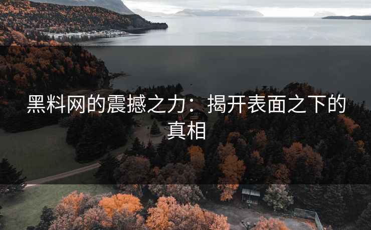 黑料网的震撼之力：揭开表面之下的真相