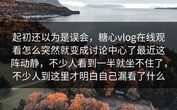 起初还以为是误会，糖心vlog在线观看怎么突然就变成讨论中心了最近这阵动静，不少人看到一半就坐不住了，不少人到这里才明白自己漏看了什么