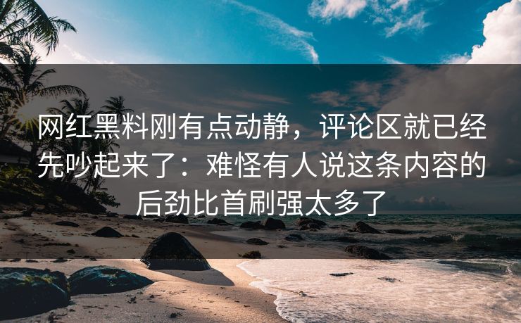网红黑料刚有点动静，评论区就已经先吵起来了：难怪有人说这条内容的后劲比首刷强太多了