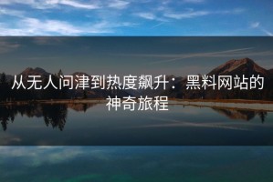 从无人问津到热度飙升：黑料网站的神奇旅程