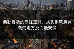 后劲最猛的网红黑料，从头到尾最有戏的地方反而最安静