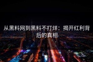 从黑料网到黑料不打烊：揭开红利背后的真相