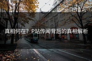 真相何在？P站传闻背后的真相解析