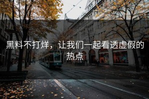 黑料不打烊，让我们一起看透虚假的热点
