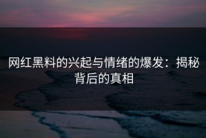网红黑料的兴起与情绪的爆发：揭秘背后的真相