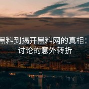 从刷黑料到揭开黑料网的真相：网络讨论的意外转折