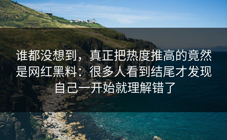 谁都没想到，真正把热度推高的竟然是网红黑料：很多人看到结尾才发现自己一开始就理解错了
