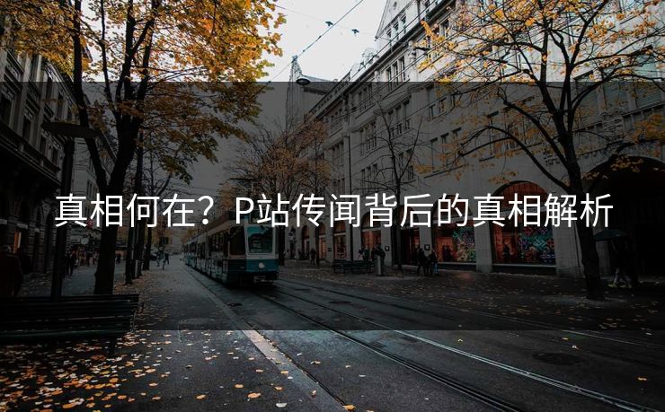 真相何在?P站传闻背后的真相解析 真相何在?P站传闻背后的真相解析